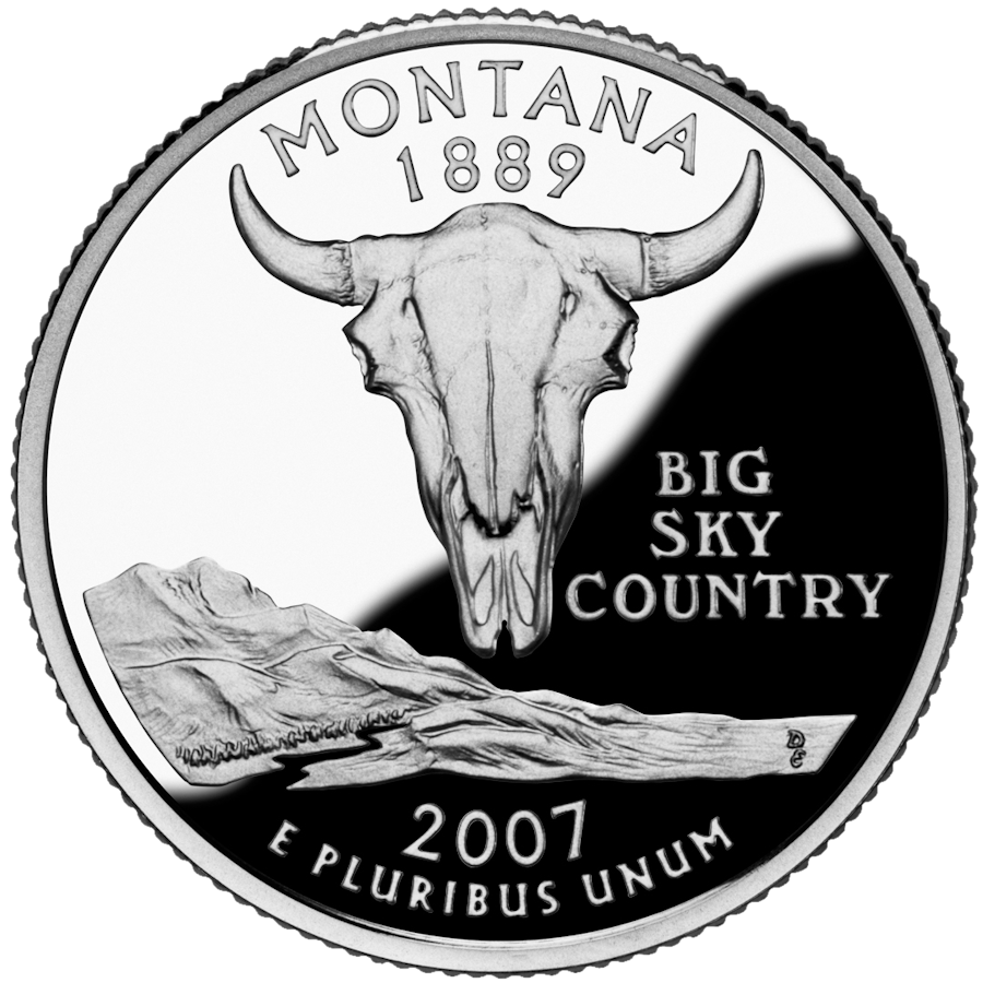 Montana state quarter reverse